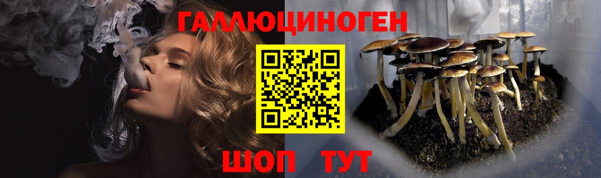 Псилоцибиновые грибы Psilocybine cubensis  Вход с VPN  Красногорск  Галлюциногенные грибы Psilocybine cubensis 